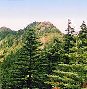 四阿山